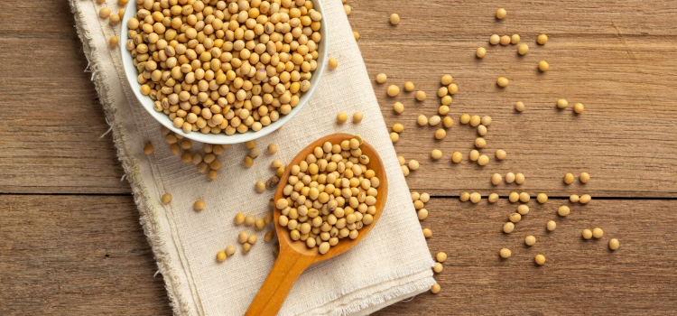 [제품 소개] 레시틴 혼합 분말 (유화제)